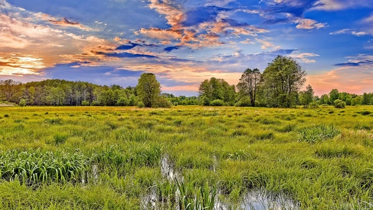 Big skies are yours to enjoy in the Kampinos Forest in Kampinoski National Park