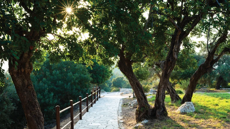 Aprodite's Cultural Route: Cyprus has always been considered as the Island of Aphrodite and no other place in the world can boast of being the birthplace of the goddess of love.