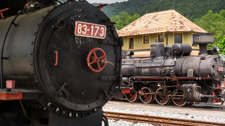 Meet an authentic choo choo train!