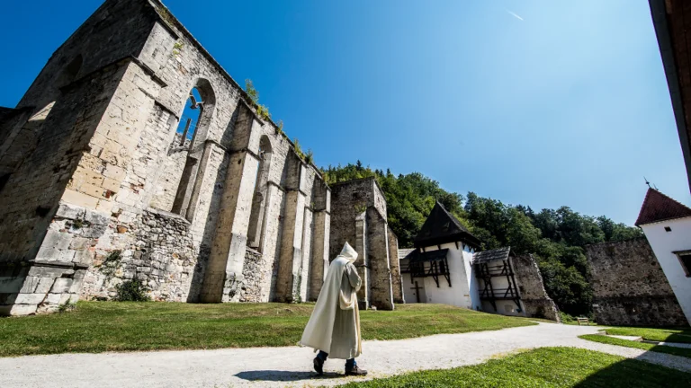 Explore Žička Kartuzija.