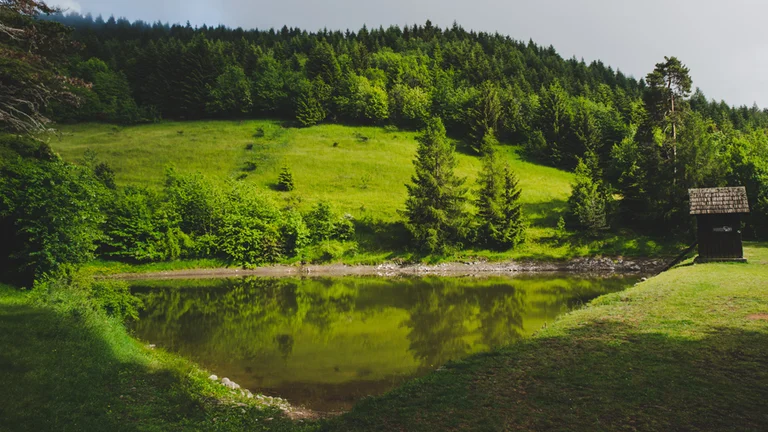 Visit Tajch Veľká vodárenská, the oldest tajch in Banská Štiavnica, mentioned as long ago as 1510.