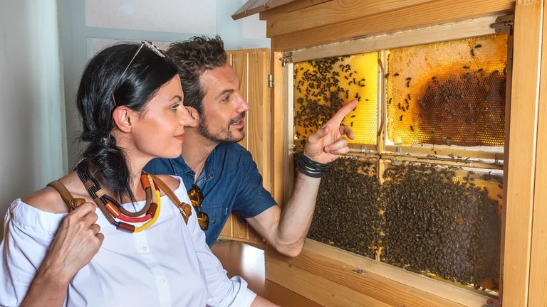 The Beekeeping Museum is just one of Radovljica's museums that accommodates people with disabilities.