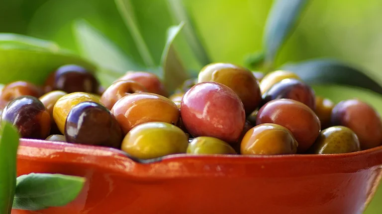 Quick, take your photo of those glistening, many-hued Portuguese olives (azeitonas) because the bowl will soon be empty!