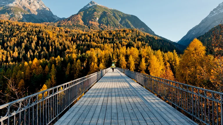A scenic wooden bridge leading into a vibrant alpine forest in Engadin, Switzerland, where golden larches contrast against the rugged, snow-dusted peaks under a clear blue sky.
