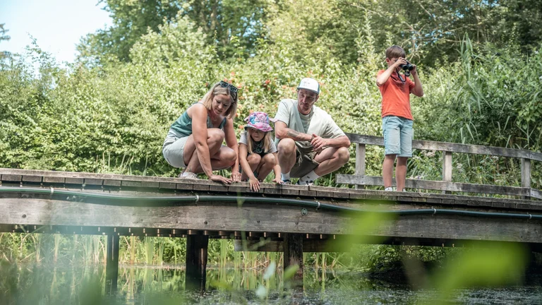 A family of four crouches on a wooden bridge, observing the water below, surrounded by lush greenery and a serene natural setting.