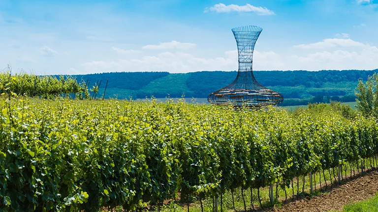 Vineyards with a modern glass wine lookout tower in the Little Carpathians, Slovakia.