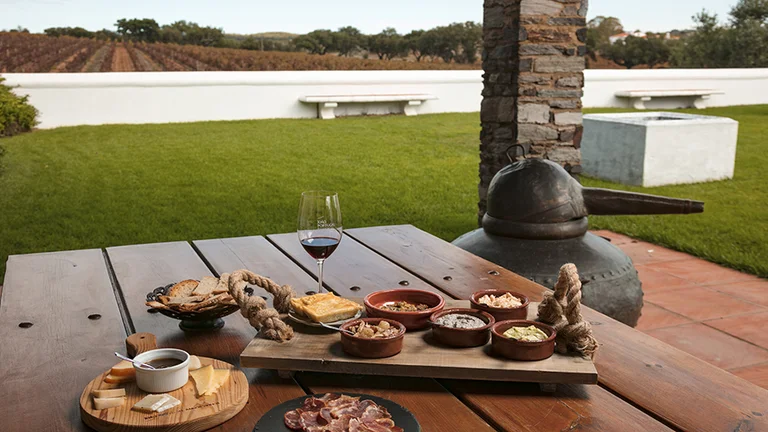Tapas and wine tasting outdoors at João Portugal Ramos Wines estate in Portugal, surrounded by vineyard views.