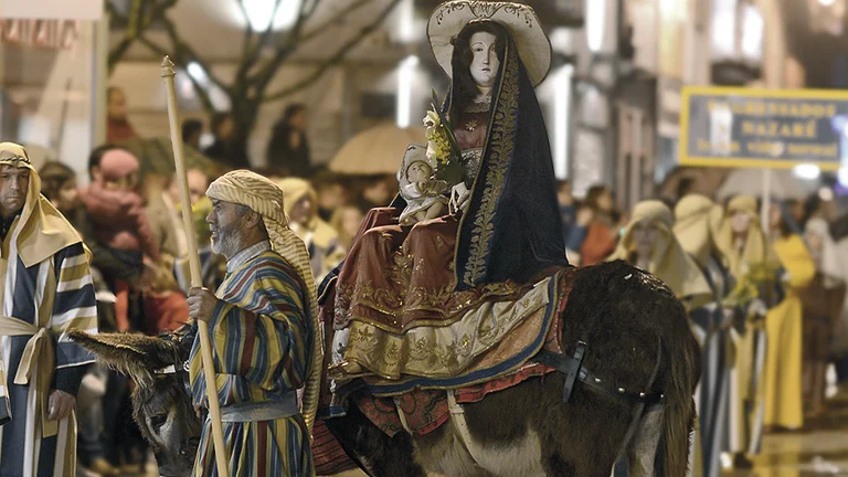 Religious procession with people in colorful robes and a statue on a donkey.
