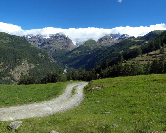 Monte Rosa