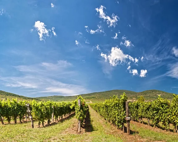 Light and refreshing, Hungary