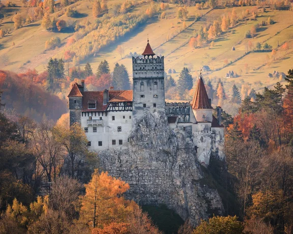 Bran Catle, Brasov