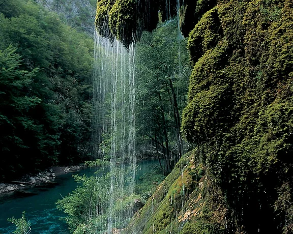 The River Tara
