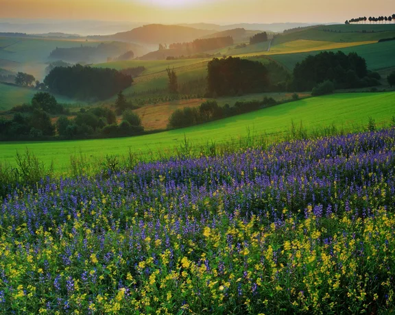 Nature Park Our, Luxembourg