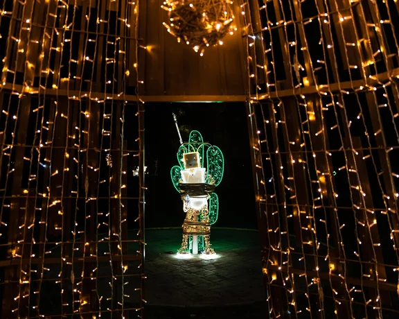 Feel showered with lights aLumina Park