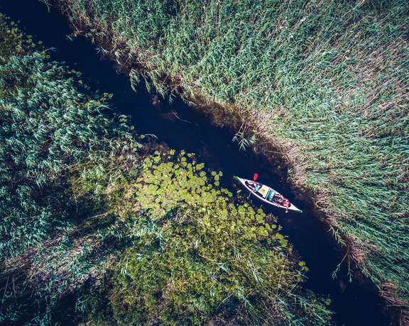 Danube Delta