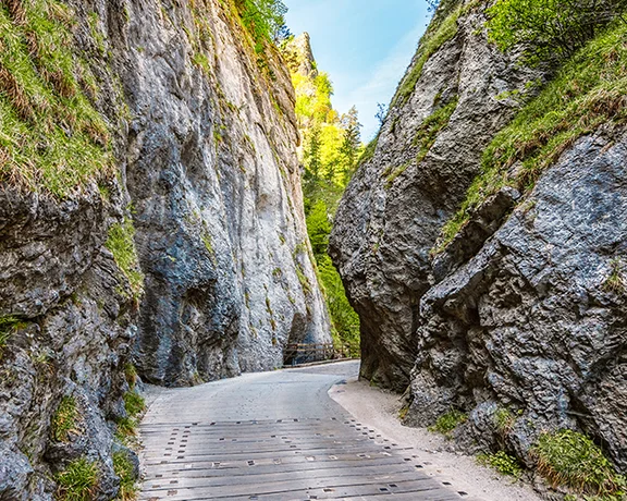 Don't miss Maninská tiesňava gorge, a favorite national nature reserve with rare flora and rich fauna, and also a scientific research site