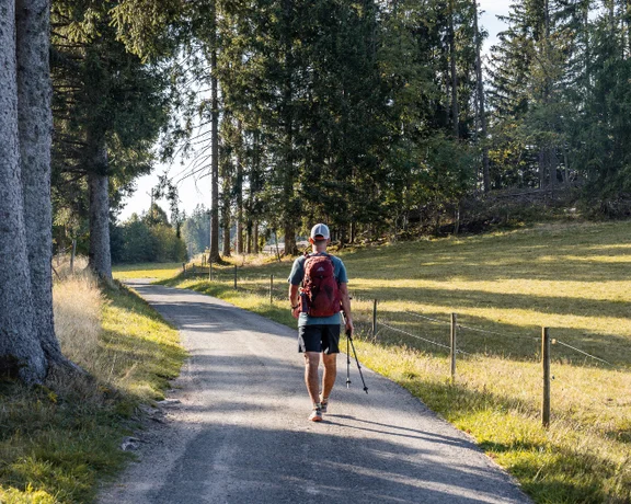 A man hiking in the middle of a hiking trail.