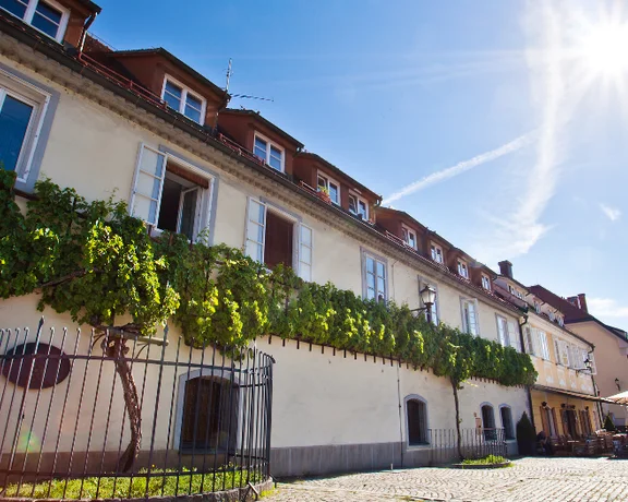 Sunny view of a charming building in Maribor adorned with grapevines, featuring outdoor seating and a clear blue sky.