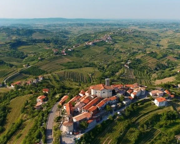 Aerial view of a charming village surrounded by lush green vineyards and rolling hills under a clear blue sky.