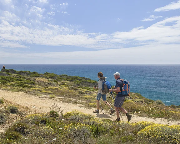 Two hikers walk along a coastal path surrounded by lush greenery and yellow flowers, with the ocean stretching out in the background.
