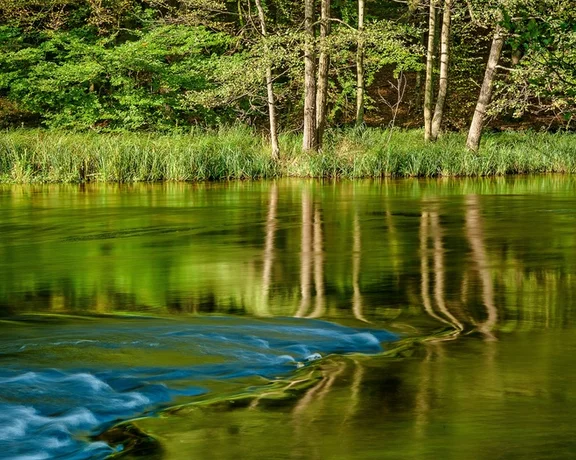 A serene river scene with vibrant green reflections and gentle blue ripples, framed by lush trees and grass along the bank.