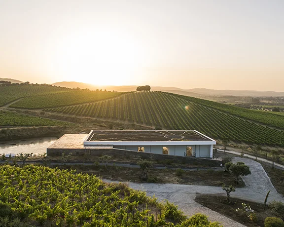 Sunset view of a modern winery surrounded by vineyards in the Alentejo wine region of Portugal.