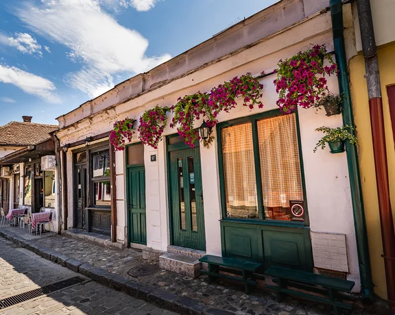 Serbian house with pink anemone flowers hanging on the wall, a small bar with tables and chairs, and bright sunlight on a clear day.