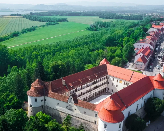 A Renaissance structure that stands as one of the cultural hearts of the region.