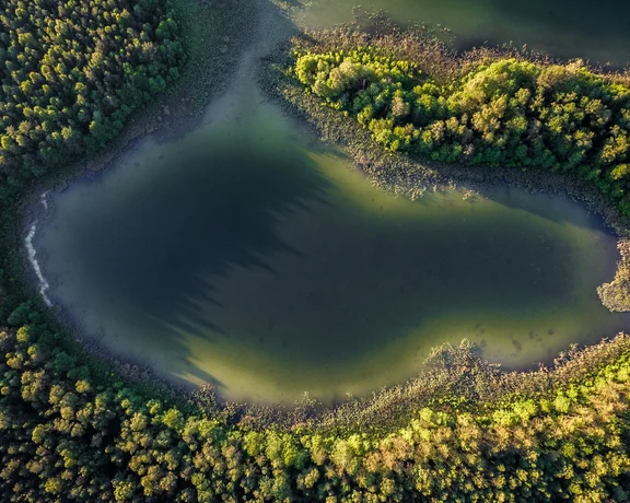 Aerial view of a heart-shaped lake surrounded by dense green forest.
