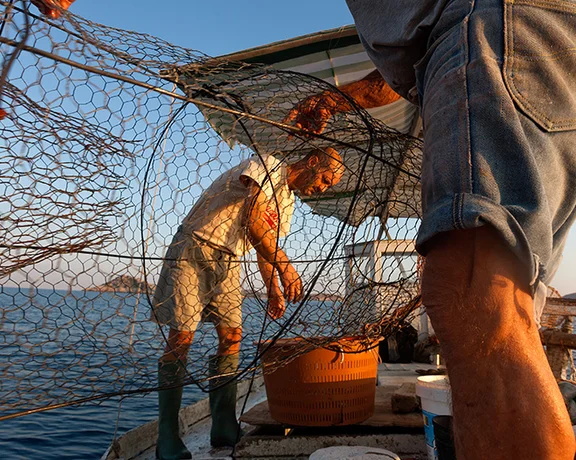 Two people on a boat handling large fish traps at sunset over calm water.