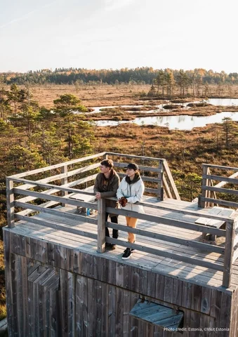 Two people stand on a wooden observation deck overlooking a wetland landscape.