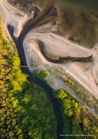 Aerial view of a winding river bordered by sandy banks and lush green trees.