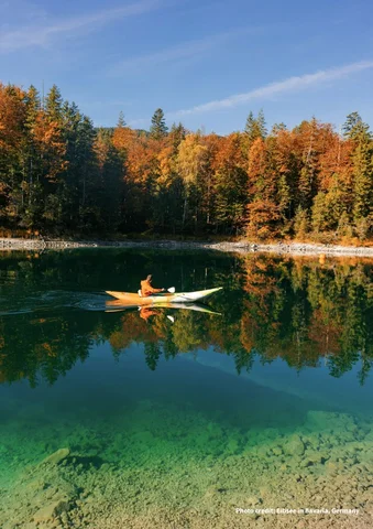 Person kayaking on a clear lake surrounded by autumn trees under a blue sky.